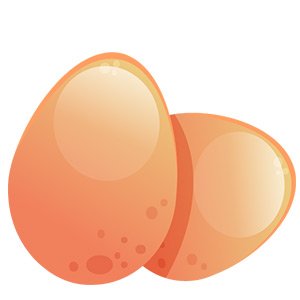 Illustration von zwei Eiern - Eier und Paleo